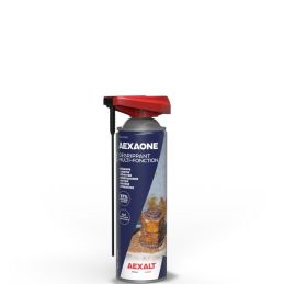 AEXAONE Aérosol - 650 ml