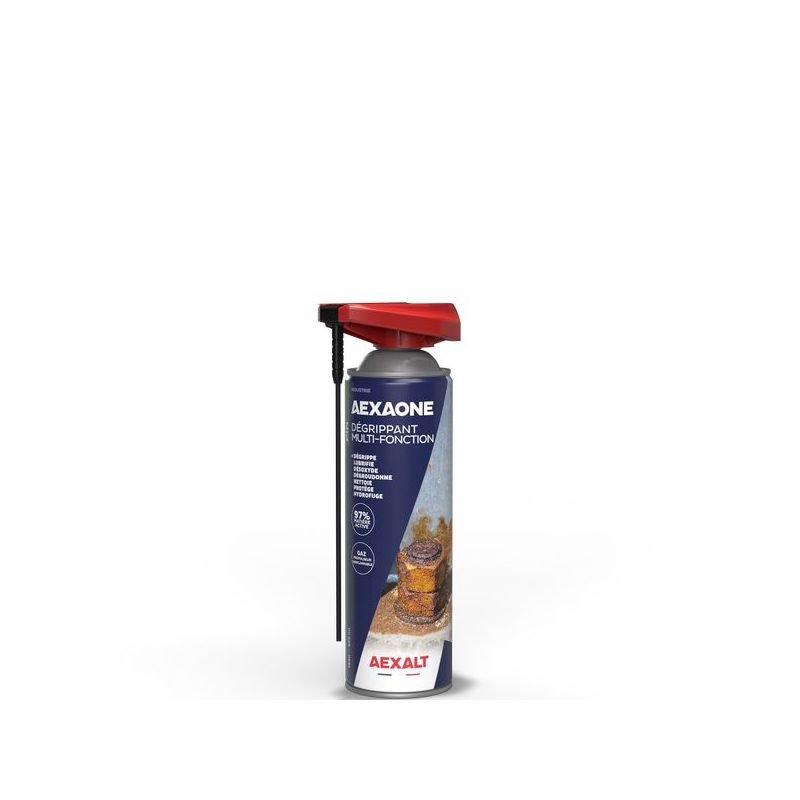 AEXAONE Aérosol - 650 ml