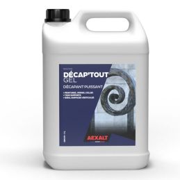 DECAP'TOUT GEL - DECAPANT PUISSANT