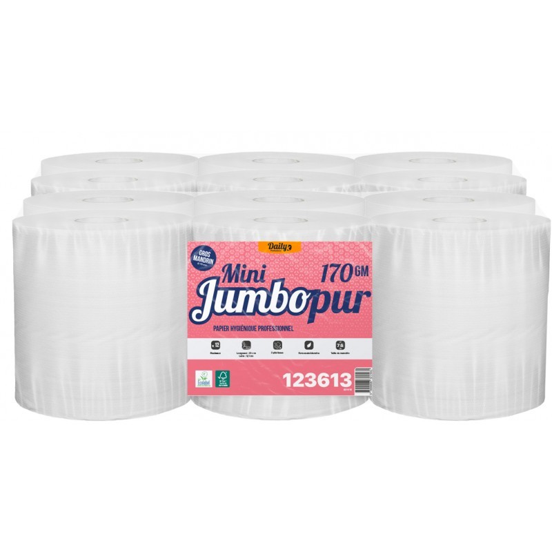 MINI JUMBOPUR 170 PH lisse p. ouate Ecolabel blanc 170m - 12 rlx