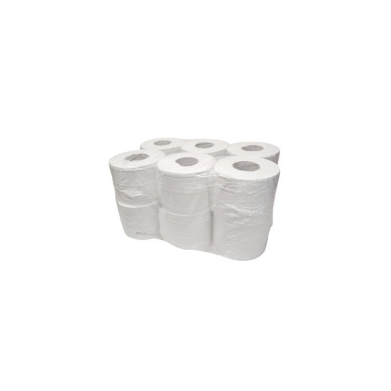 PAPIER TOILETTE DC 600FTS TECHLINE BLANC 2PLIS ECOLABEL Par 12 