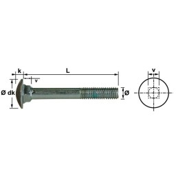 BOULON TETE RONDE COLLET CARRE 6X25 ZINGUE 4.8 BLISTER DE 10